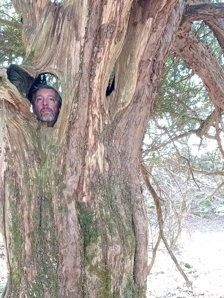 Stéphane Péna qui passe sa tête à travers un trou dans la souche d'un arbre.
